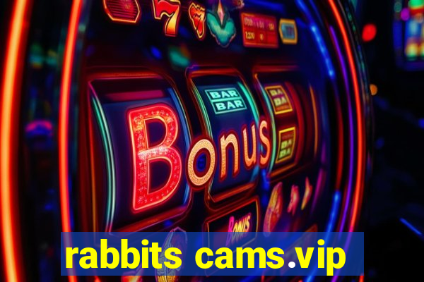 rabbits cams.vip